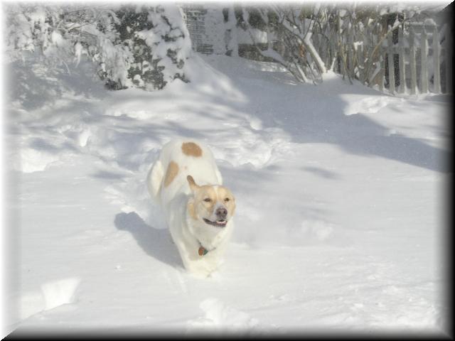 SkittlesSnow