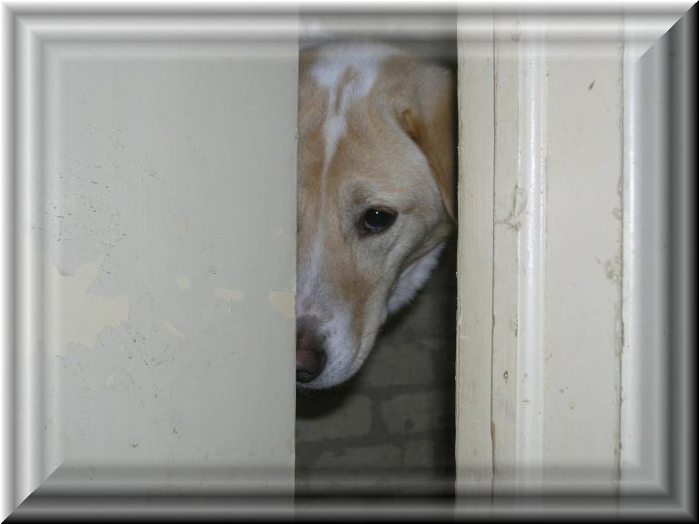 Skittles_Peeking