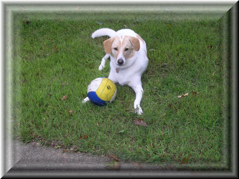 Skittles_Socker_Ball_2