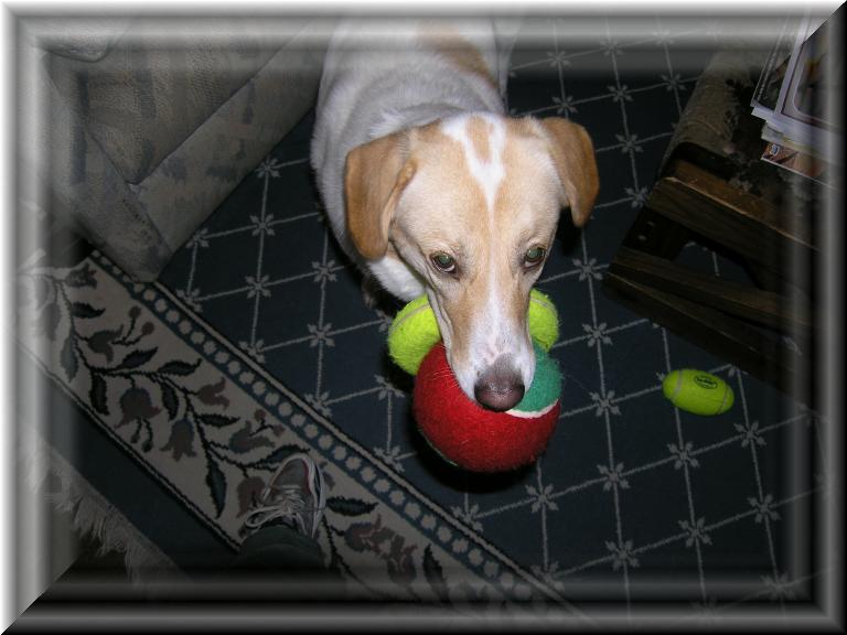 Skittles_Toys
