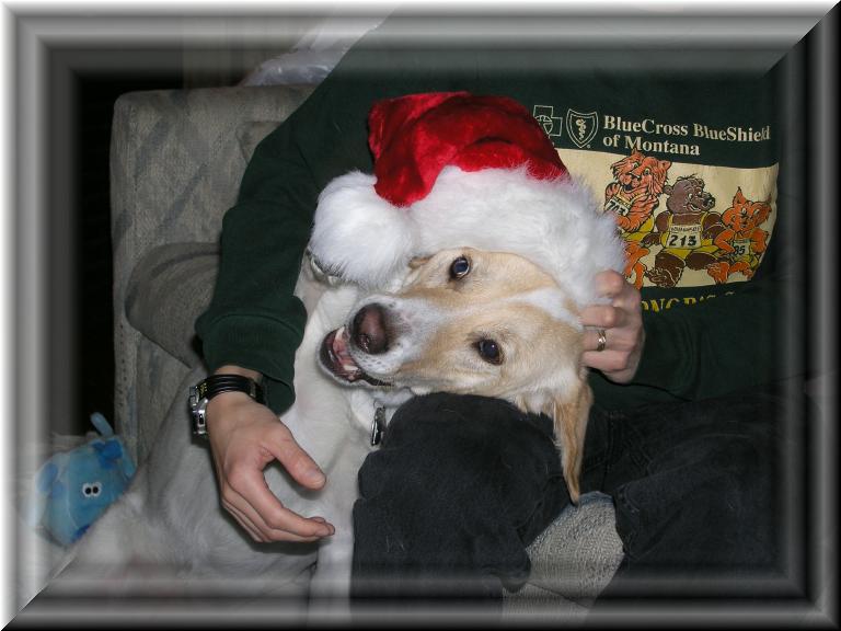 Skittles_Xmas_Hat