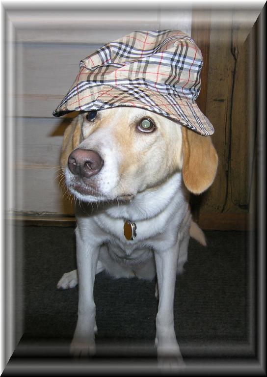 Skittles_hat