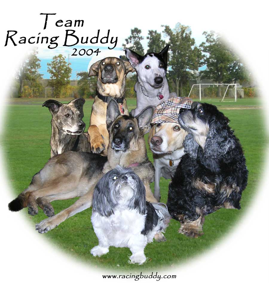 Team Racing Buddy
